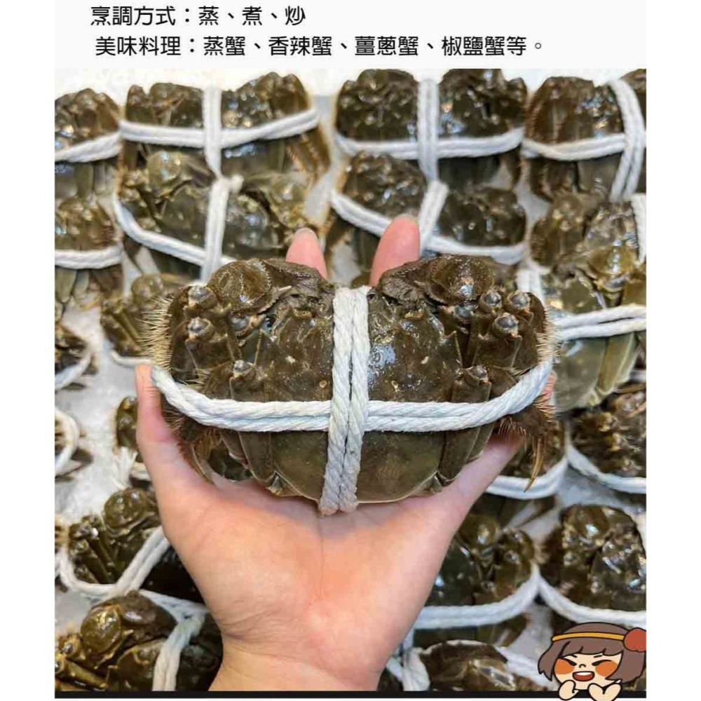 單獨下單 不可以合併*冷藏【華得水產】活蟹直送 江蘇大閘蟹(2隻_6-6.5兩/隻)-細節圖5