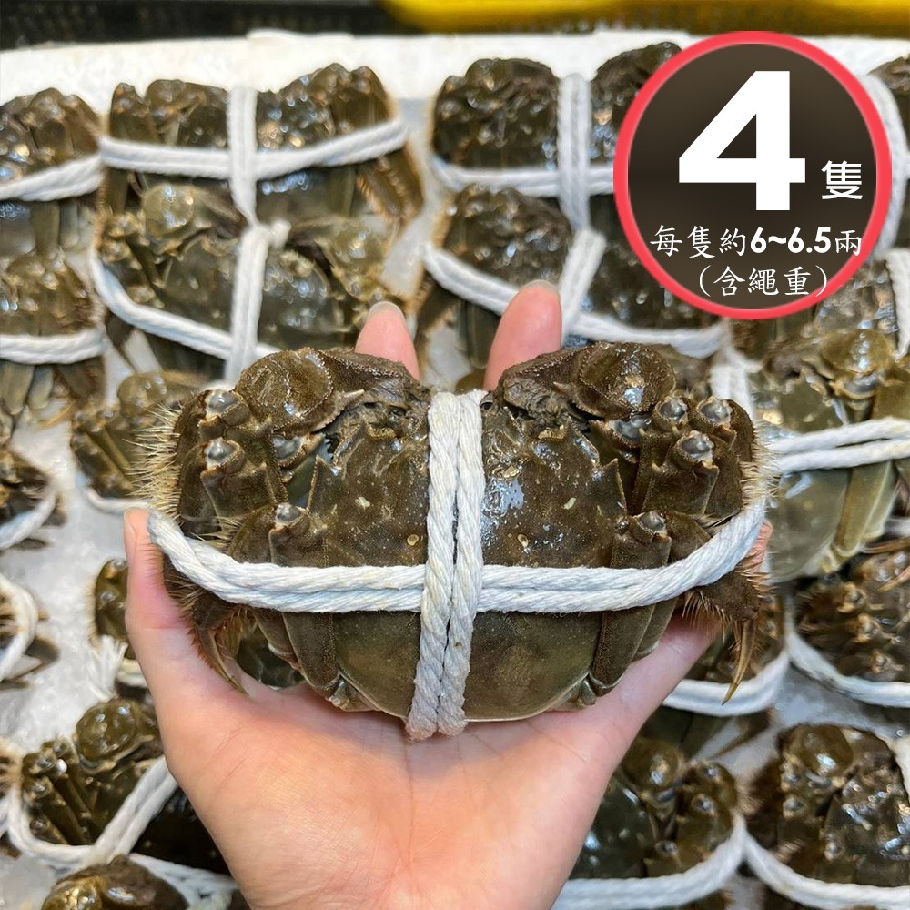 單獨下單 不可以合併*冷藏【華得水產】活蟹直送 江蘇大閘蟹(2隻_6-6.5兩/隻)-公 4隻_6~ 6.5兩/隻