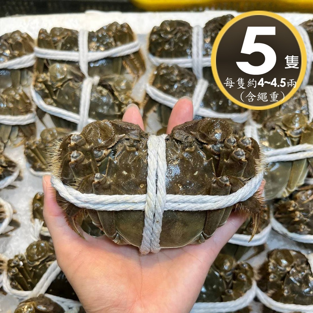 單獨下單 不可以合併*冷藏【華得水產】活蟹直送 江蘇大閘蟹(2隻_6-6.5兩/隻)-母 5隻_4~ 4.5兩/隻