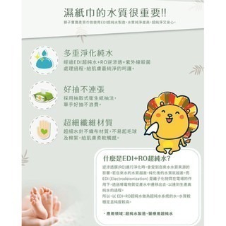 ✨幼齒小舖✨【箱出下單區】現貨 獅子寶寶濕紙巾《快速出貨》超純水厚濕紙巾 淨柔潤【台灣公司授權經銷商】含稅附發票-細節圖8