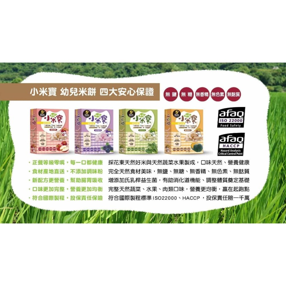 ✨幼齒小舖✨【台灣公司貨】幼幼食堂 寶寶米餅 小米寶 小星願 幼兒米餅(香蕉/南瓜/蘋果/菠菜)益生菌米餅-細節圖6