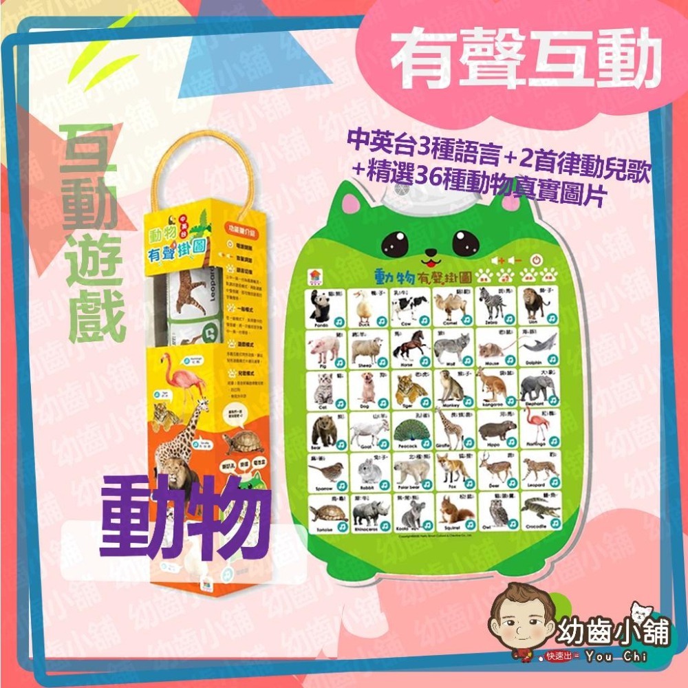 ✨幼齒小舖✨【台灣公司貨】兒童有聲掛圖 中英台3種語言+36種蔬果真實圖片+2首律動性兒歌+互動問答遊戲_双美生活文創-細節圖8