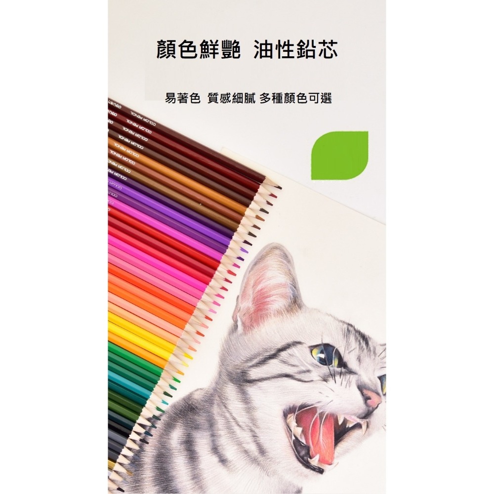 台灣現貨! 得力彩色鉛筆 色鉛筆 24色 繪畫鉛筆 手繪鉛筆 多色鉛筆 文具用品｜彤夫人生活百貨-細節圖3