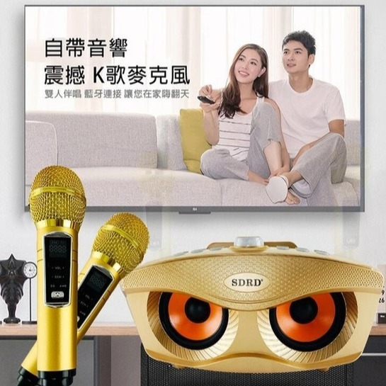 升級版 SD306 PLUS 貓頭鷹麥克風 家庭ktv 無線雙人麥克風藍牙音箱-細節圖2