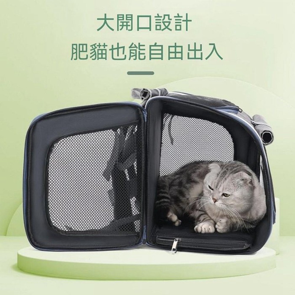 寵物機車包 寵物後背包 寵物背包雙肩 寵物包 貓咪外出包 提雙肩包 北歐風自行車-細節圖5