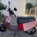 全新現貨Gogoro VIVA 系列 PLUS、LITE潛水布材質 保護車身 防刮車套 全包覆服貼質感佳 可客製 十一色-規格圖8