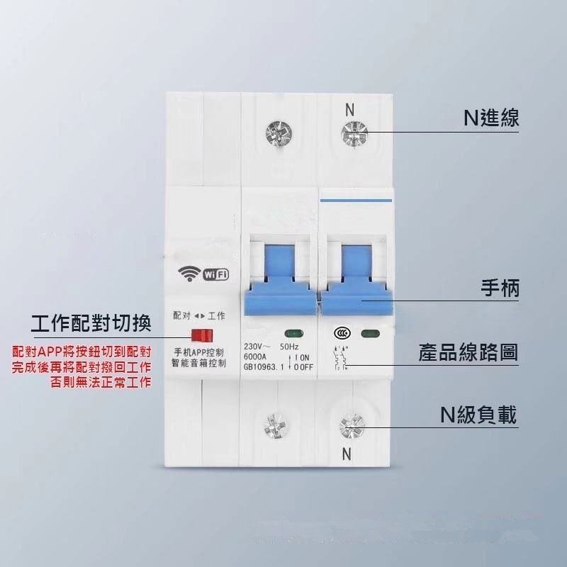 80A計量閘(TUYA)2P 送防水