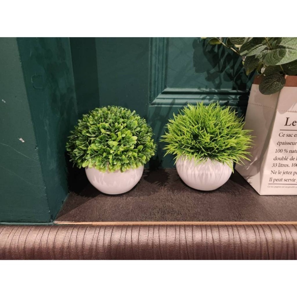 仿真植物盆栽 假花假樹假盆栽 K9W針孔偷拍偽裝道具 整人玩具 魔術玩具 隨機出貨-細節圖2