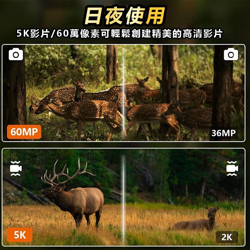 600米夜視紅外望遠鏡 Z9 【10倍變焦 60MP紅外夜視紀錄器 日夜兩用】 雙筒電子式望遠鏡-細節圖7