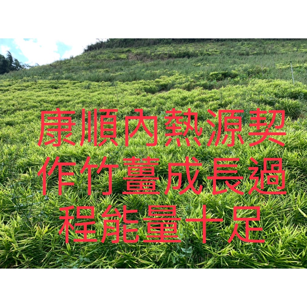 康順台灣竹薑片1包200克3包600克1100元另售原始點竹薑片.薑粉.薑丸.薑膏.薑黃-細節圖6