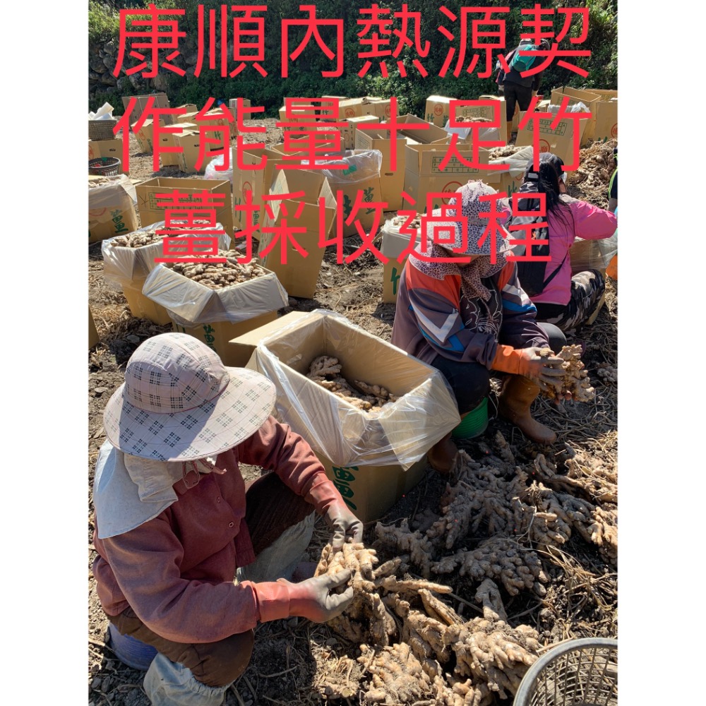 康順台灣竹薑片1包200克3包600克1100元另售原始點竹薑片.薑粉.薑丸.薑膏.薑黃-細節圖10