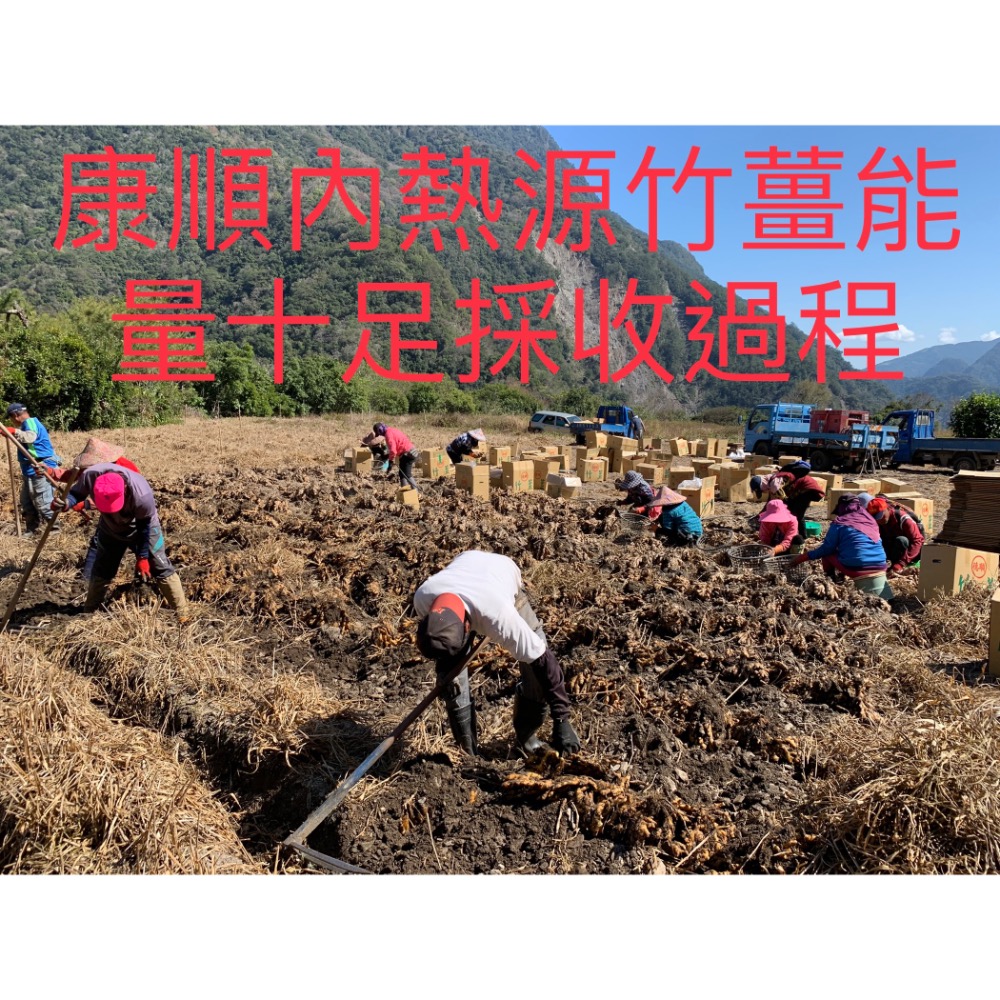 康順台灣竹薑片1包200克3包600克1100元另售原始點竹薑片.薑粉.薑丸.薑膏.薑黃-細節圖11