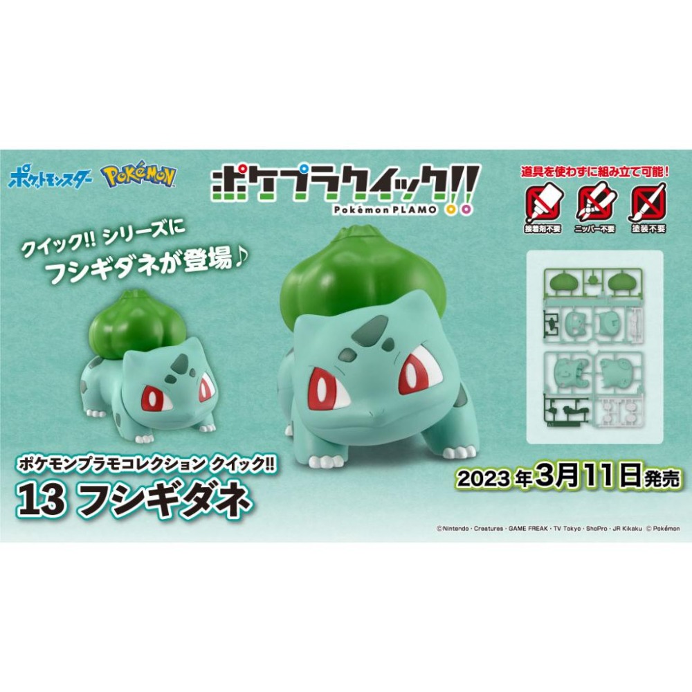 【鋼普拉】現貨 BANDAI Pokémon PLAMO 收藏集 13 妙蛙種子 神奇寶貝 精靈寶可夢 口袋怪獸-細節圖2