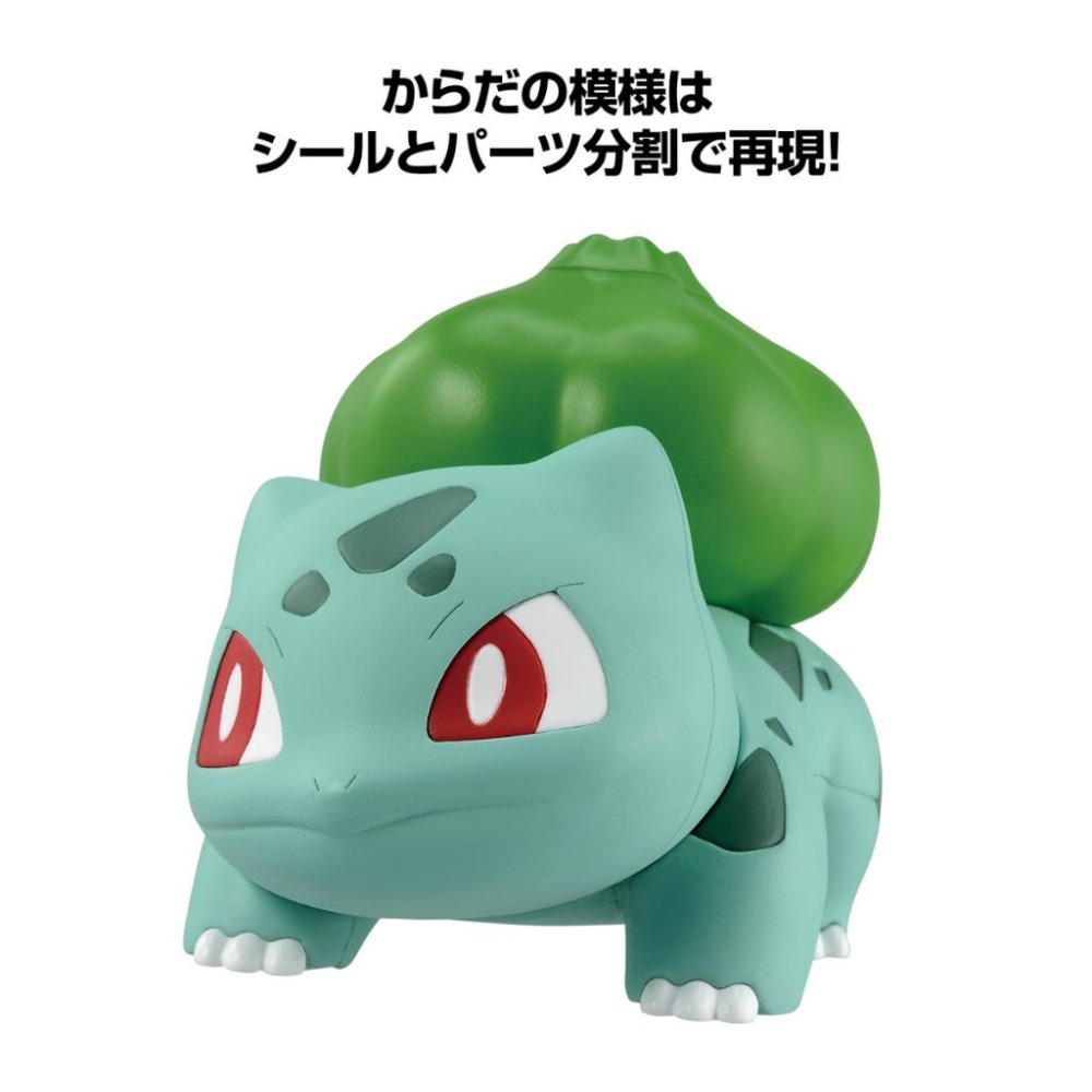【鋼普拉】現貨 BANDAI Pokémon PLAMO 收藏集 13 妙蛙種子 神奇寶貝 精靈寶可夢 口袋怪獸-細節圖4