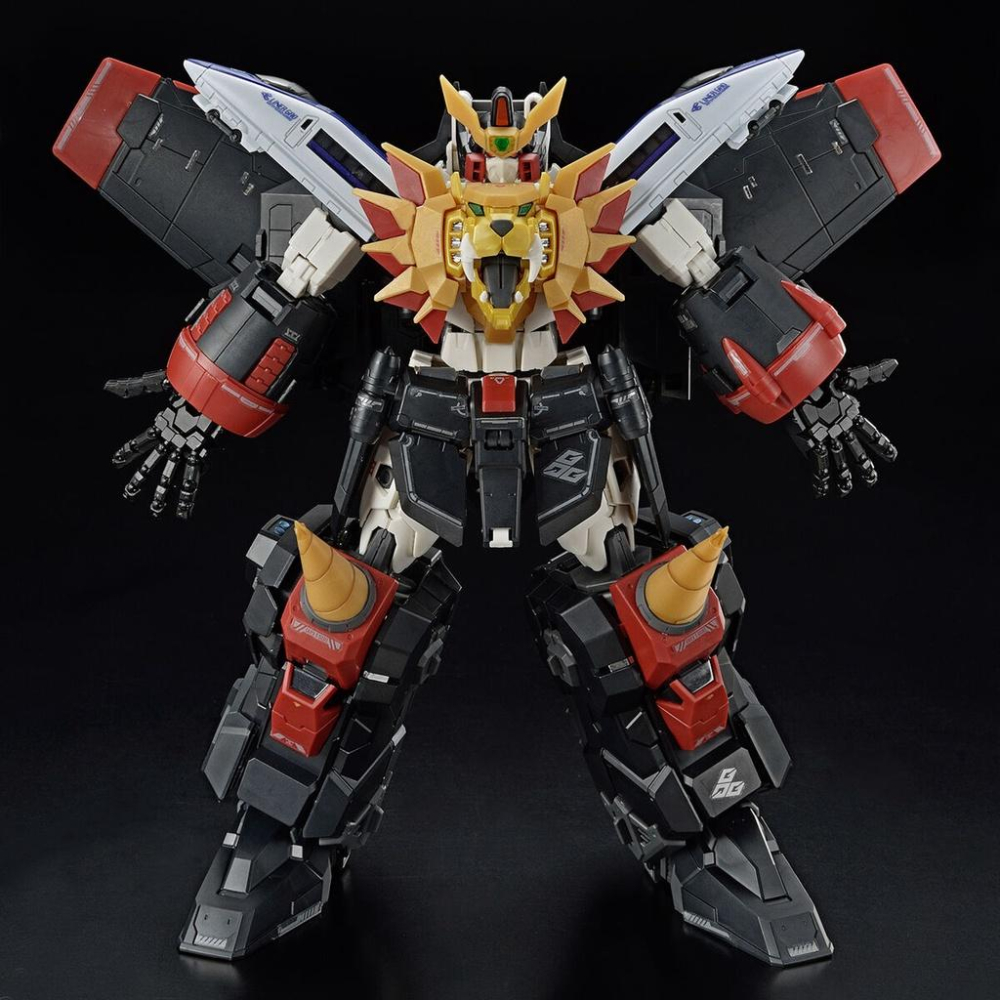 【鋼普拉】現貨 雪焰水貼 螢光版 BANDAI RG GAOGAIGAR 勇者王 我王凱牙 專用水貼紙 水貼-細節圖5