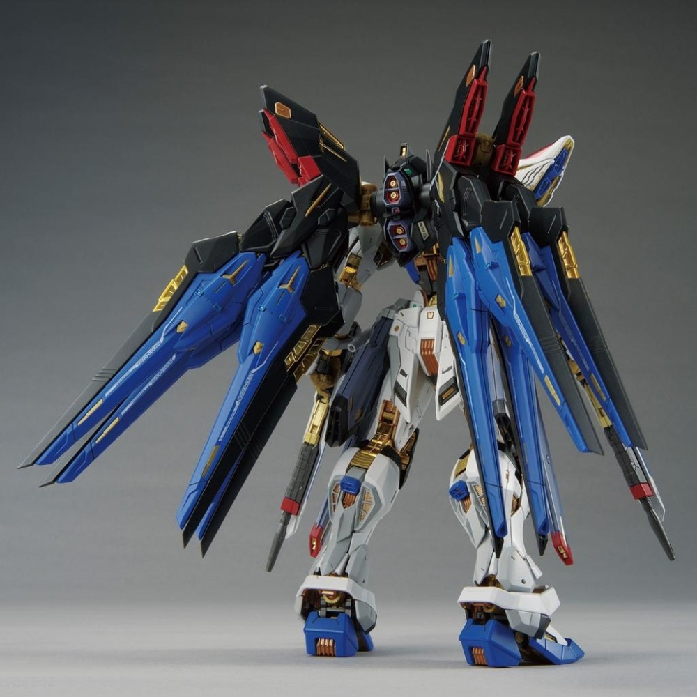 【鋼普拉】現貨 BANDAI MGEX 1/100 STRIKE FREEDOM GUNDAM 攻擊自由鋼彈 電鍍版-細節圖3