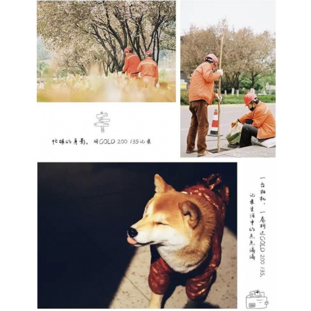 【eYe攝影】現貨 柯達 Kodak Ultra Max 400 GOLD 200 彩色負片 35mm 軟片 底片 膠卷-細節圖3