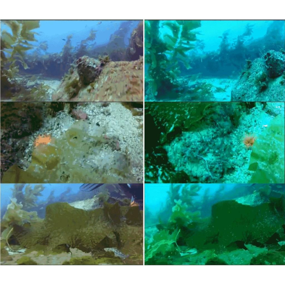 【eYe攝影】GoPro HERO 5 6 7 Black 副廠防水盒專用 紅色濾鏡 潛水 10-20米 防水殼 保護殼-細節圖5