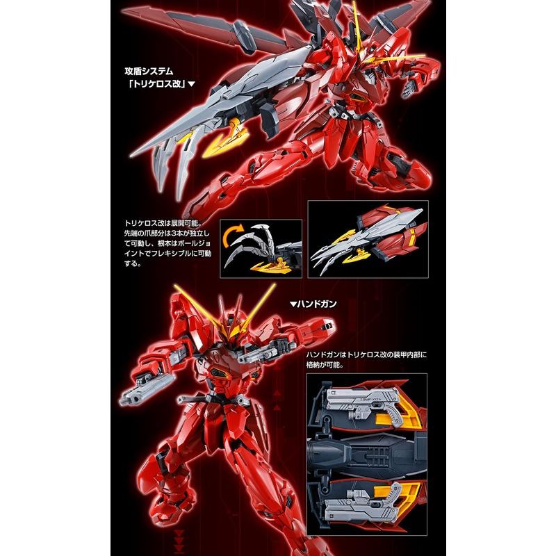 【鋼普拉】現貨 PB魂商 BANDAI 鋼彈SEED MG 1/100 TESTAMENT GUNDAM 聖約鋼彈-細節圖5