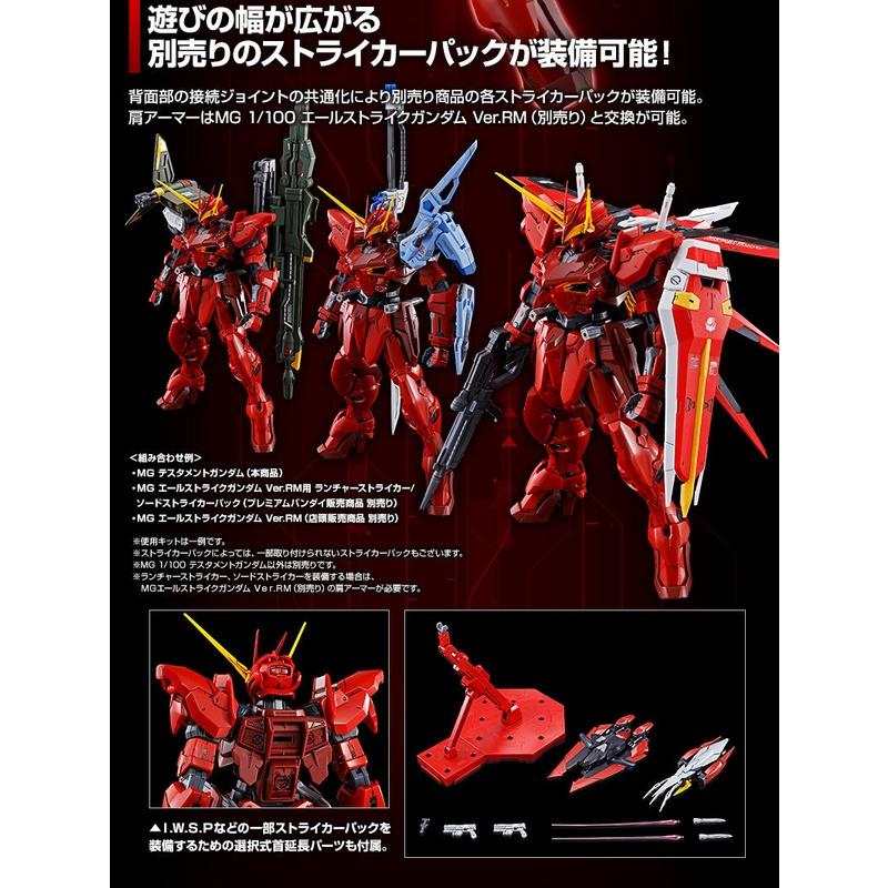 【鋼普拉】現貨 PB魂商 BANDAI 鋼彈SEED MG 1/100 TESTAMENT GUNDAM 聖約鋼彈-細節圖6