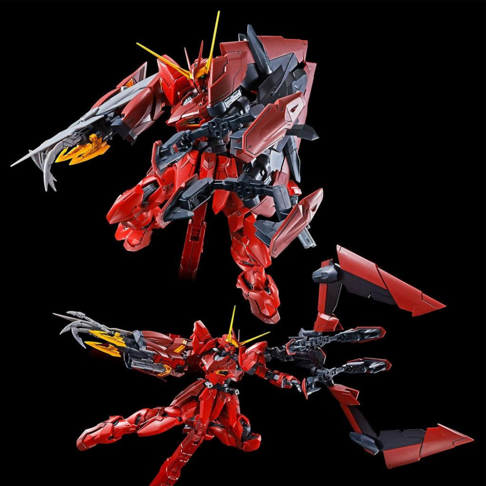 【鋼普拉】現貨 PB魂商 BANDAI 鋼彈SEED MG 1/100 TESTAMENT GUNDAM 聖約鋼彈-細節圖9