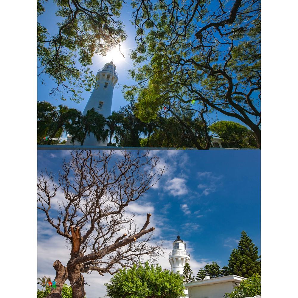 【eYe攝影】現貨 SUNPOWER TOP1 HDMC CPL 超薄框鈦元素環形偏光鏡 多層鍍膜 防潑水 藍天 去反光-細節圖8