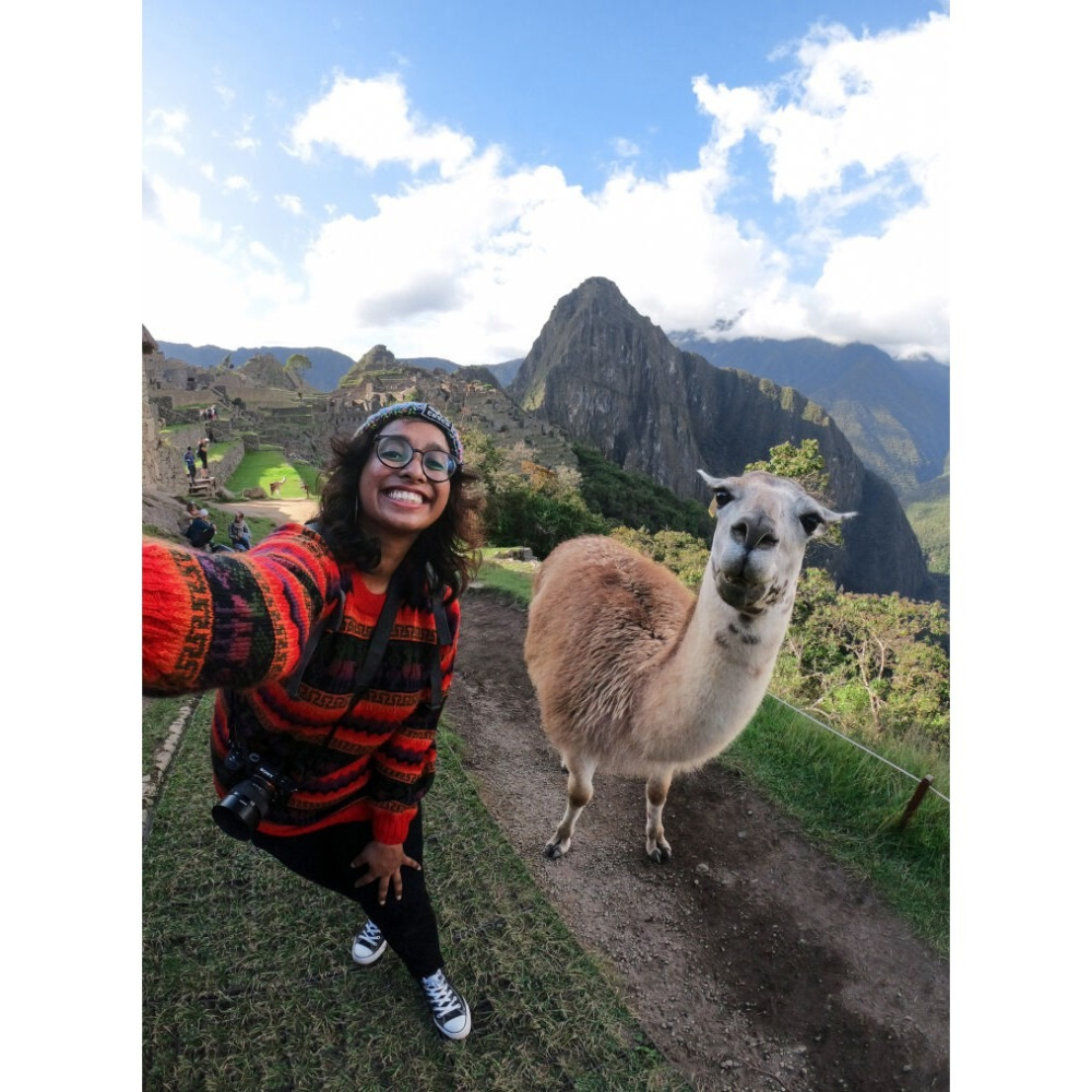 【eYe攝影】現貨 原廠 GoPro AFAEM-002 三折桿 三向桿 2.0 二代桿 3Way 自拍桿 三腳架-細節圖5