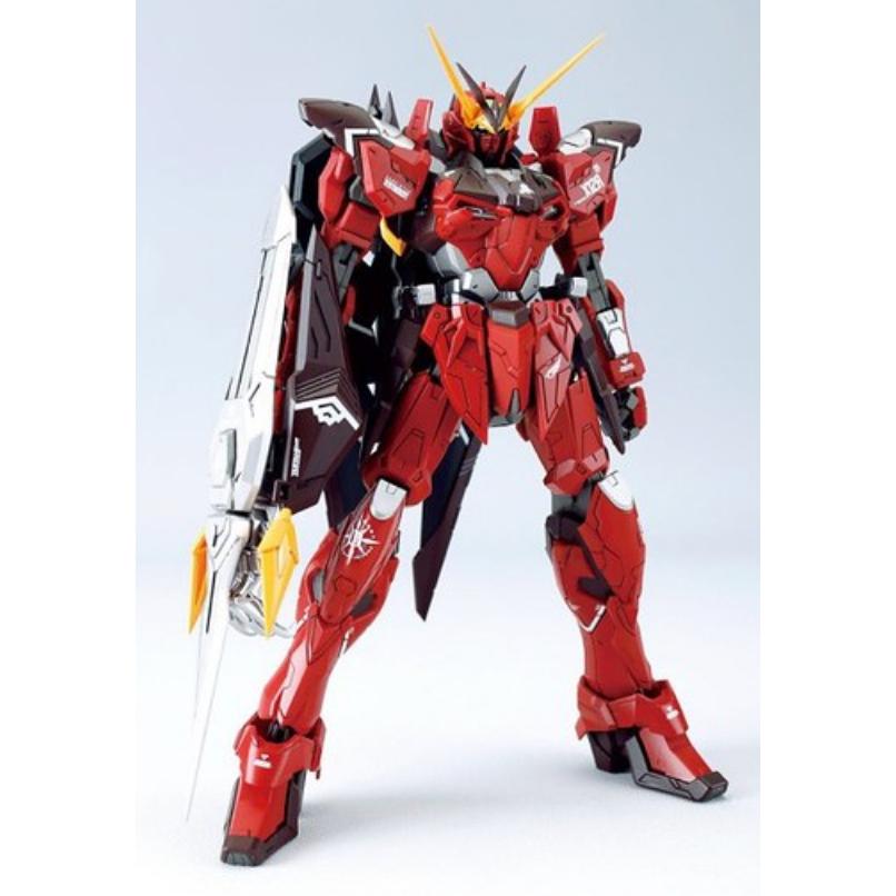 【鋼普拉】現貨 絕版 龍桃子 鋼彈SEED MG 1/100 TESTAMENT GUNDAM 聖約鋼彈 附專用地台-細節圖4