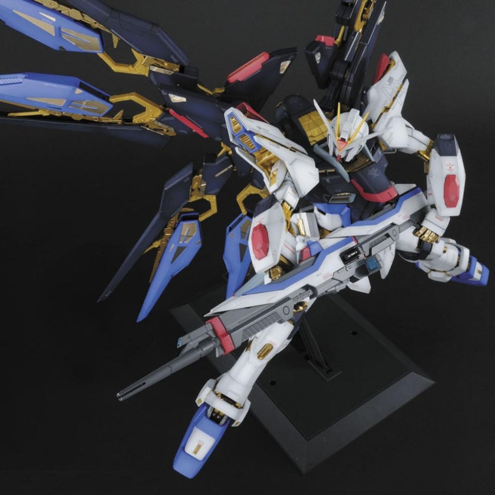 【鋼普拉】初回特典 BANDAI 鋼彈SEED PG 1/60 STRIKE FREEDOM GUNDAM 攻擊自由鋼彈-細節圖4