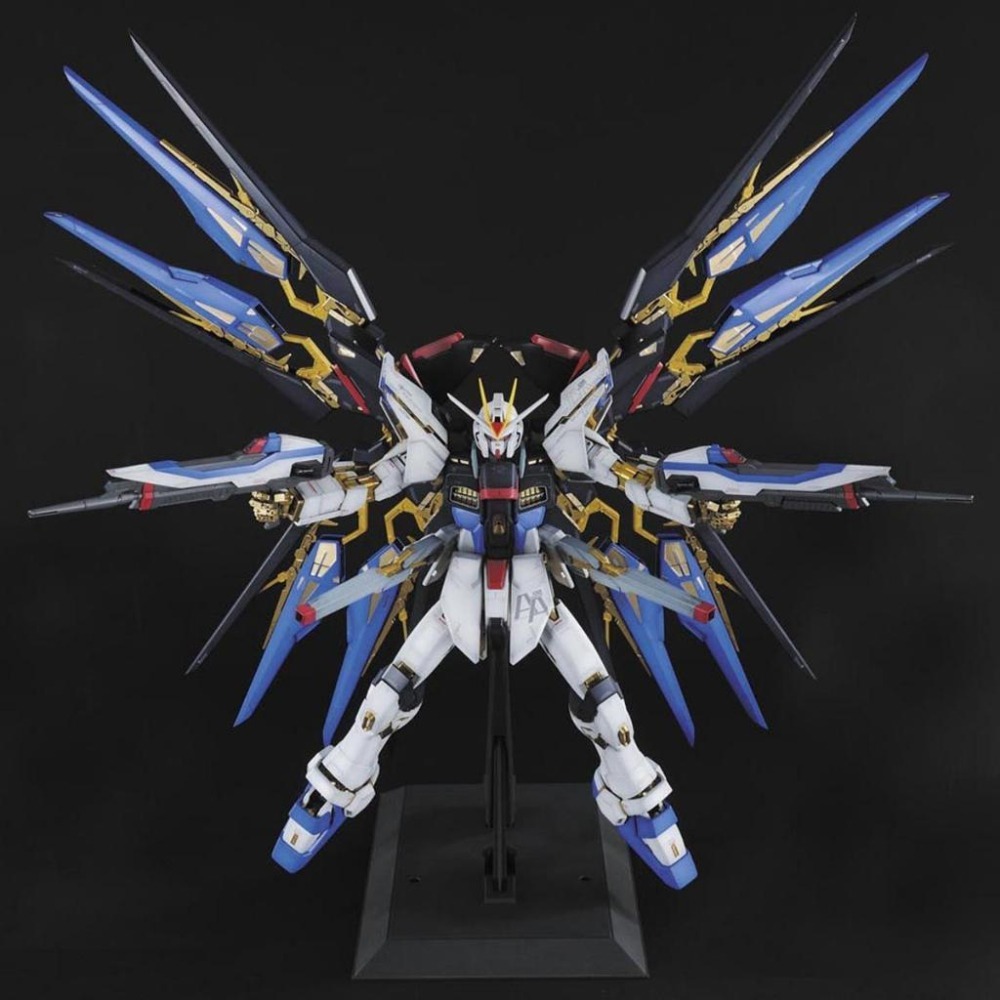【鋼普拉】初回特典 BANDAI 鋼彈SEED PG 1/60 STRIKE FREEDOM GUNDAM 攻擊自由鋼彈-細節圖5
