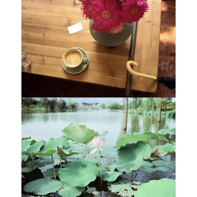 【eYe攝影】希區柯克 Hitchcock 彩色底片 135 電影膠卷 軟片 5203 5207 黑白 5222 36張-細節圖3