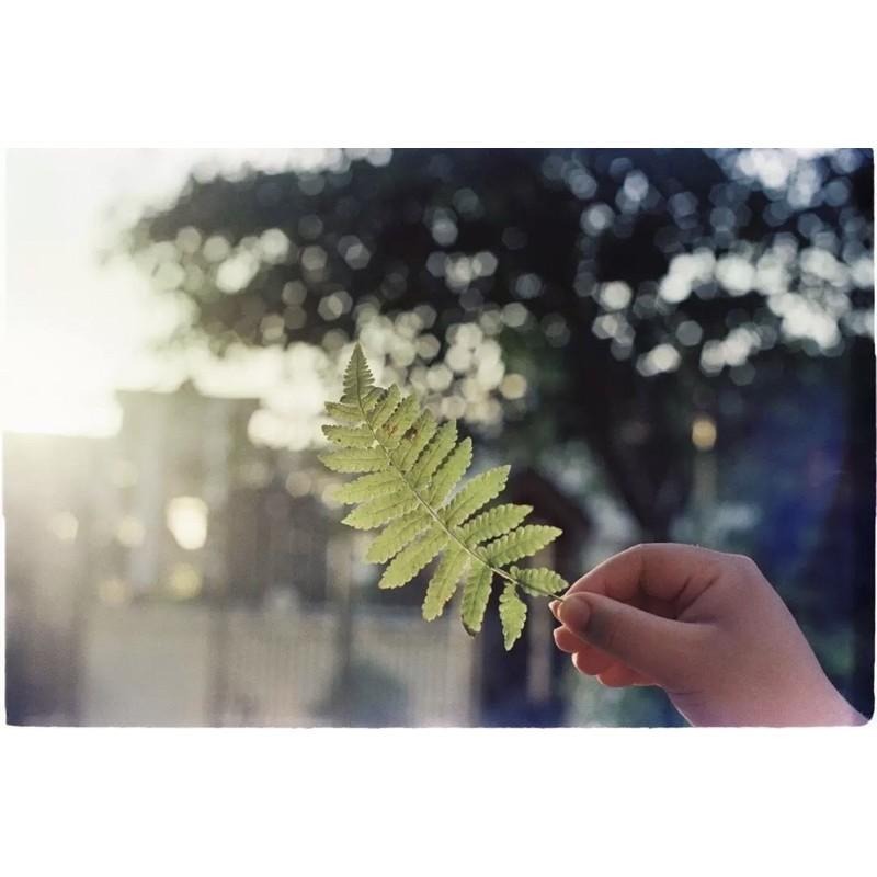 【eYe攝影】現貨 My heart 甜心芭比 彩色底片 135 電影膠卷軟片 5207 5219 36張 柯達-細節圖6