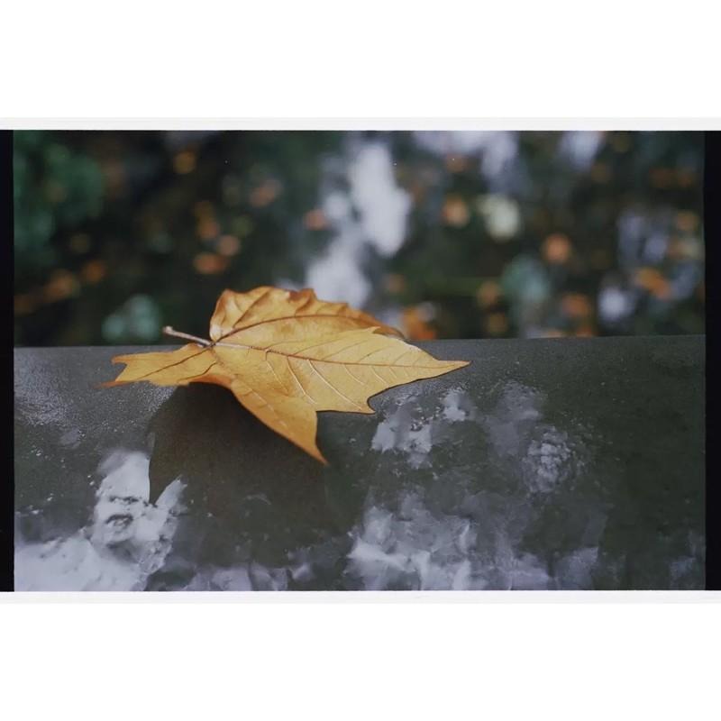 【eYe攝影】現貨 My heart 甜心芭比 彩色底片 135 電影膠卷軟片 5207 5219 36張 柯達-細節圖7