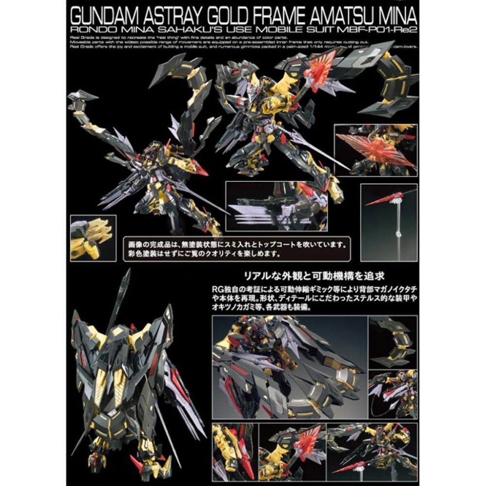 【鋼普拉】BANDAI RG 1/144 #24 GUNDAM ASTRAY GOLD FRAME 金異端鋼彈 天蜜娜-細節圖3