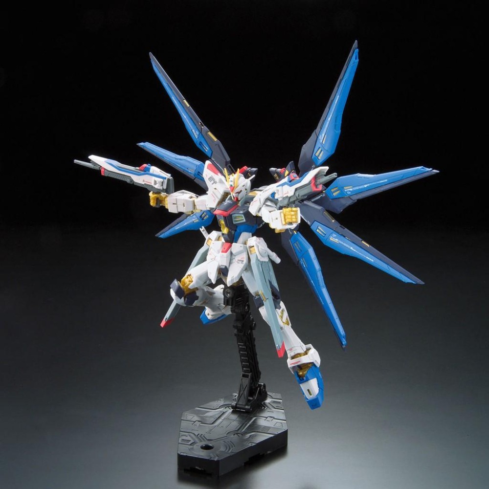 【鋼普拉】BANDAI 鋼彈SEED RG 1/144 #14 STRIKE FREEDOM GUNDAM 攻擊自由鋼彈-細節圖3