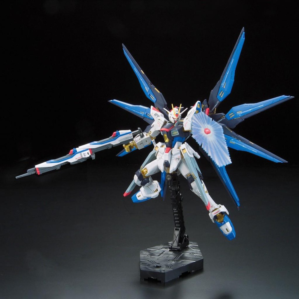 【鋼普拉】BANDAI 鋼彈SEED RG 1/144 #14 STRIKE FREEDOM GUNDAM 攻擊自由鋼彈-細節圖6