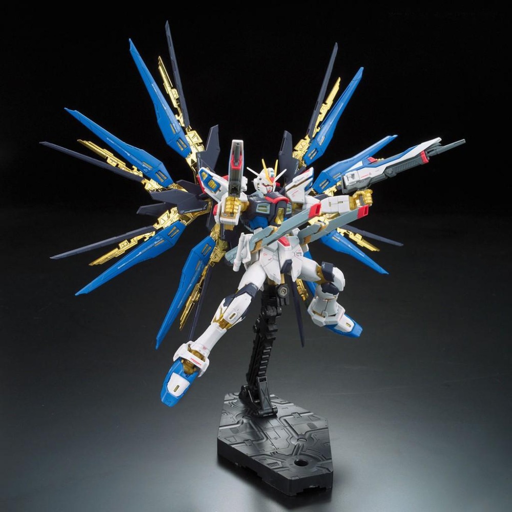 【鋼普拉】BANDAI 鋼彈SEED RG 1/144 #14 STRIKE FREEDOM GUNDAM 攻擊自由鋼彈-細節圖7