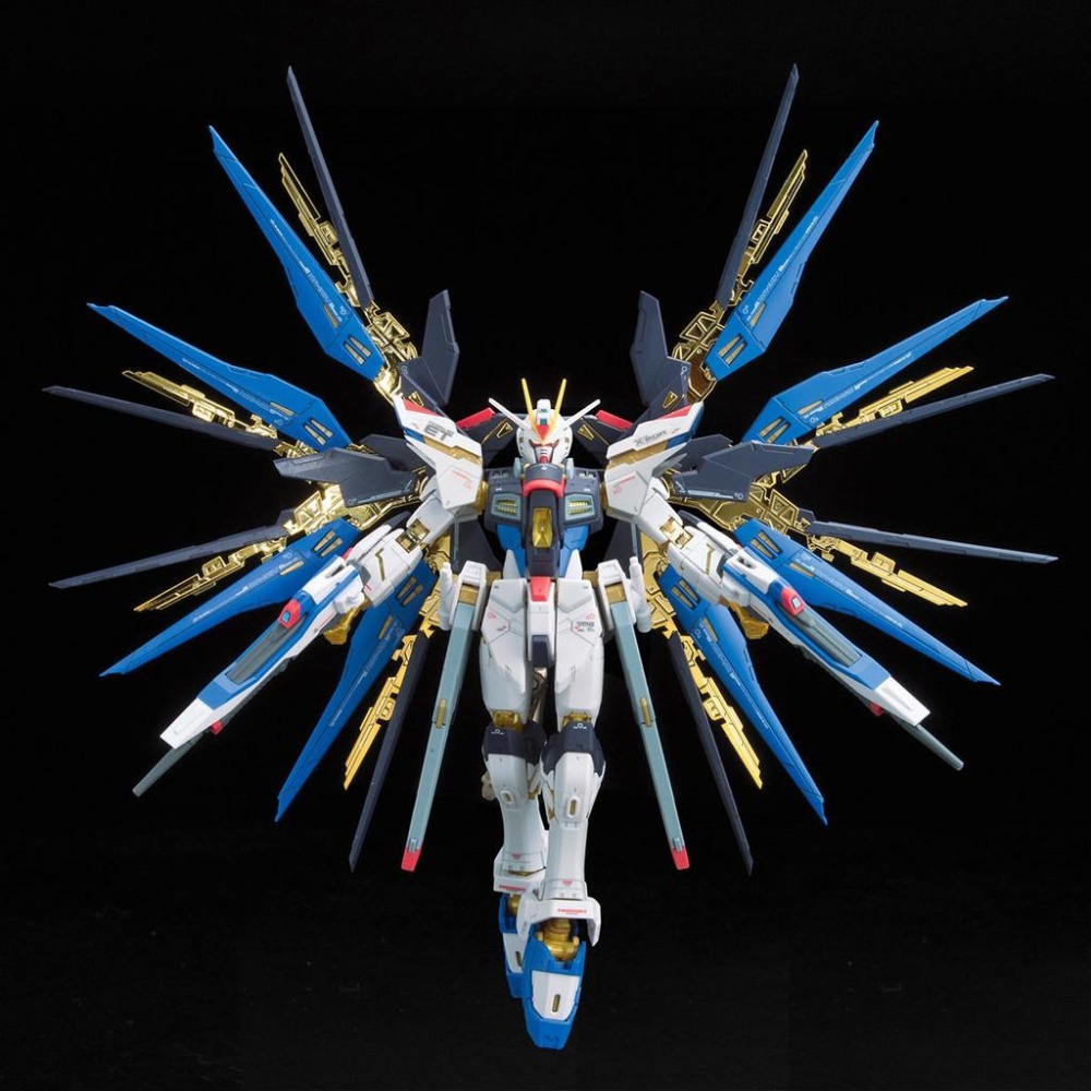 【鋼普拉】BANDAI 鋼彈SEED RG 1/144 #14 STRIKE FREEDOM GUNDAM 攻擊自由鋼彈-細節圖9