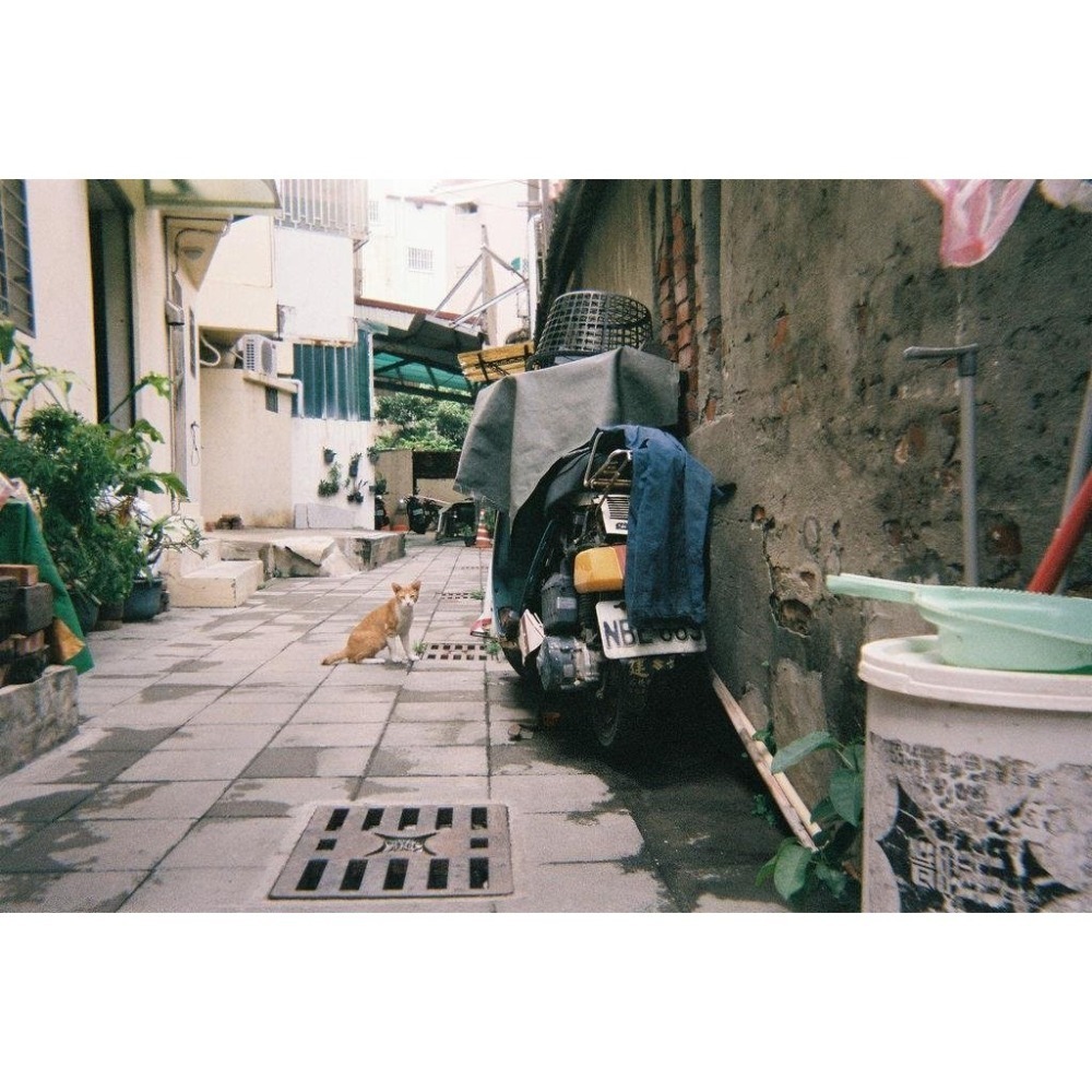 【eYe攝影】現貨 含稅 富士 柯達 即可拍 Ace FunSaver Daylight 一次性底片相機 交換禮物 軟片-細節圖6