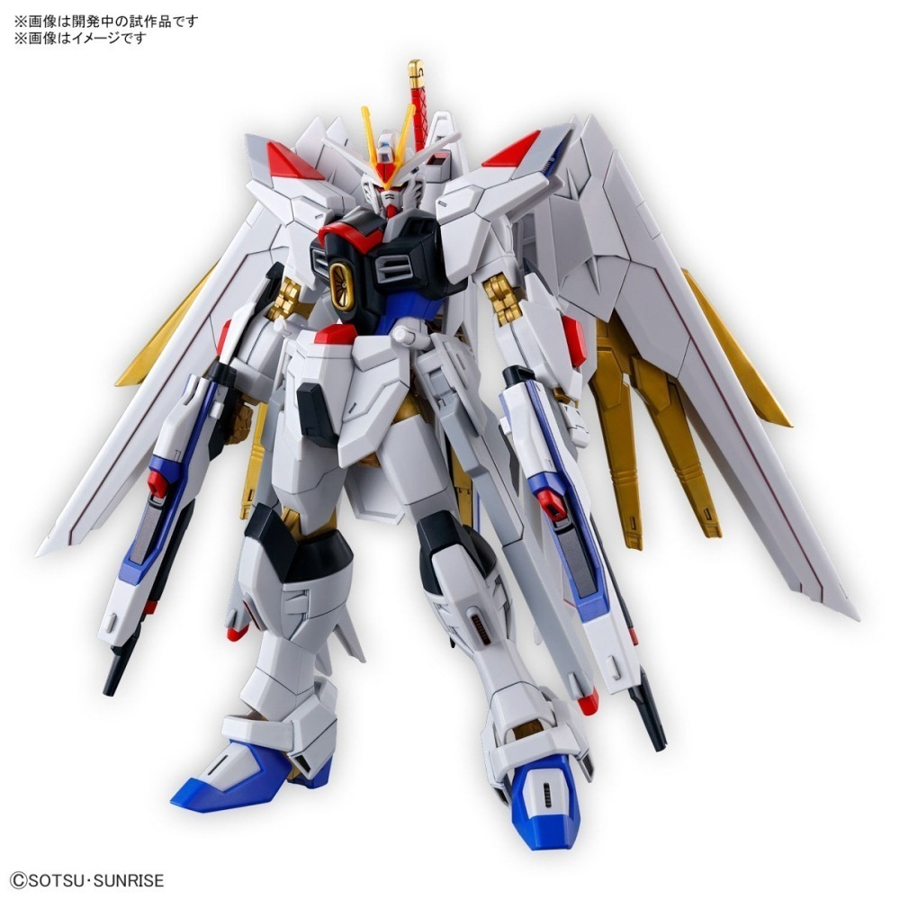 【鋼普拉】現貨 BANDAI 鋼彈 SEED FREEDOM HG 1/144 #250 全能攻擊自由 全備型攻擊自由-細節圖2