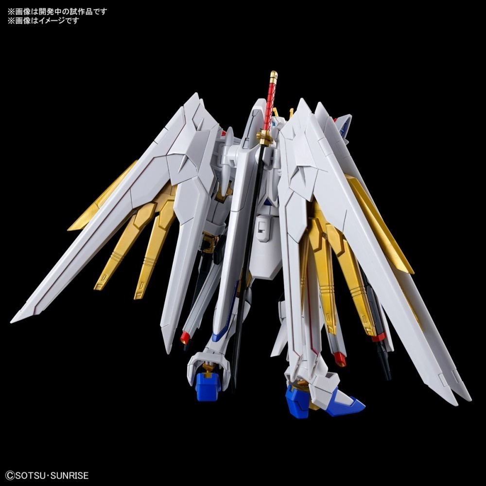 【鋼普拉】現貨 BANDAI 鋼彈 SEED FREEDOM HG 1/144 #250 全能攻擊自由 全備型攻擊自由-細節圖3