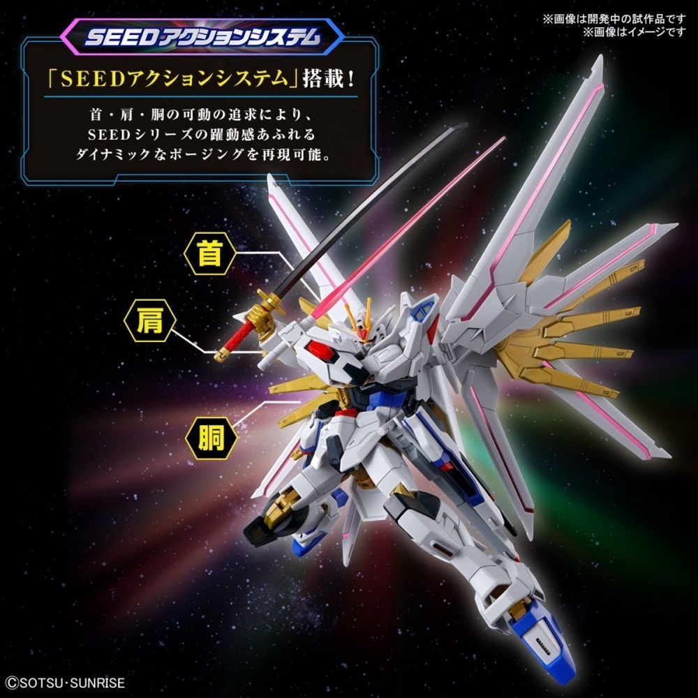 【鋼普拉】現貨 BANDAI 鋼彈 SEED FREEDOM HG 1/144 #250 全能攻擊自由 全備型攻擊自由-細節圖4