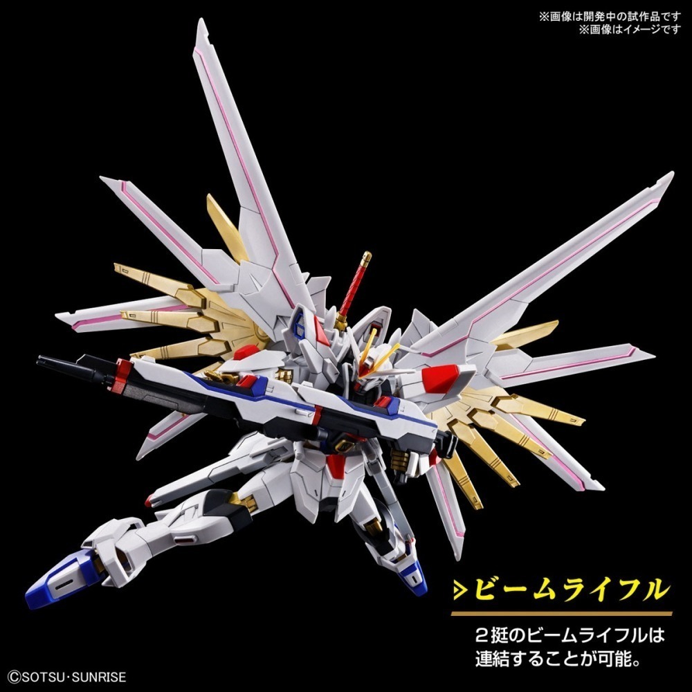 【鋼普拉】現貨 BANDAI 鋼彈 SEED FREEDOM HG 1/144 #250 全能攻擊自由 全備型攻擊自由-細節圖7