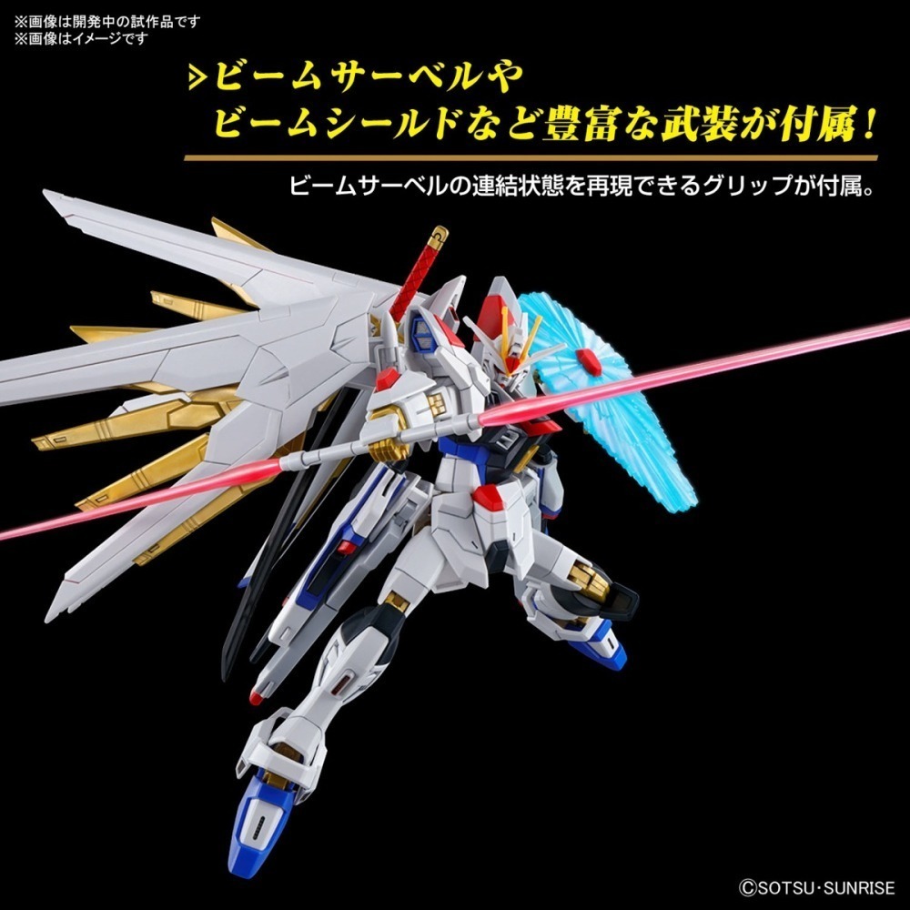 【鋼普拉】現貨 BANDAI 鋼彈 SEED FREEDOM HG 1/144 #250 全能攻擊自由 全備型攻擊自由-細節圖9