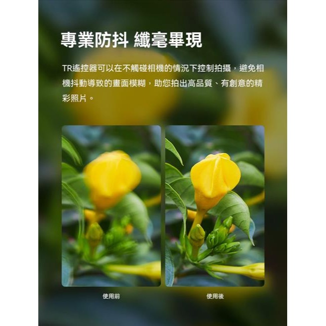 【eYe攝影】現貨 GODOX 神牛 TR-N1 無線定時 快門線 NIKON D6 D5 D800 D810 D850-細節圖6