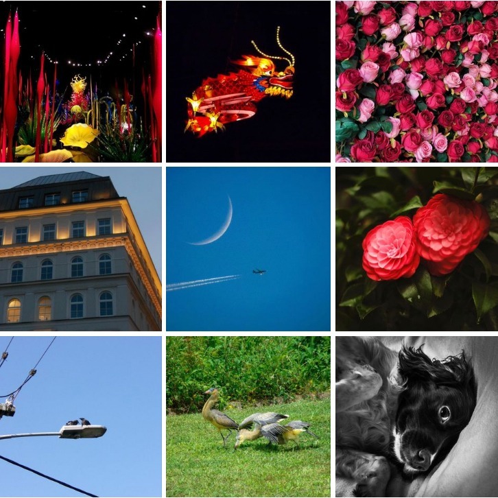 【eYe攝影】現貨 含稅 KODAK 柯達 AZ528 長焦類單眼 數位相機 52倍變焦 拍鳥 運動拍攝 旅遊鏡-細節圖8