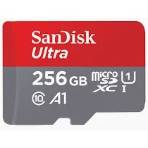 Sandisk 256G