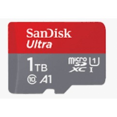 Sandisk 1T