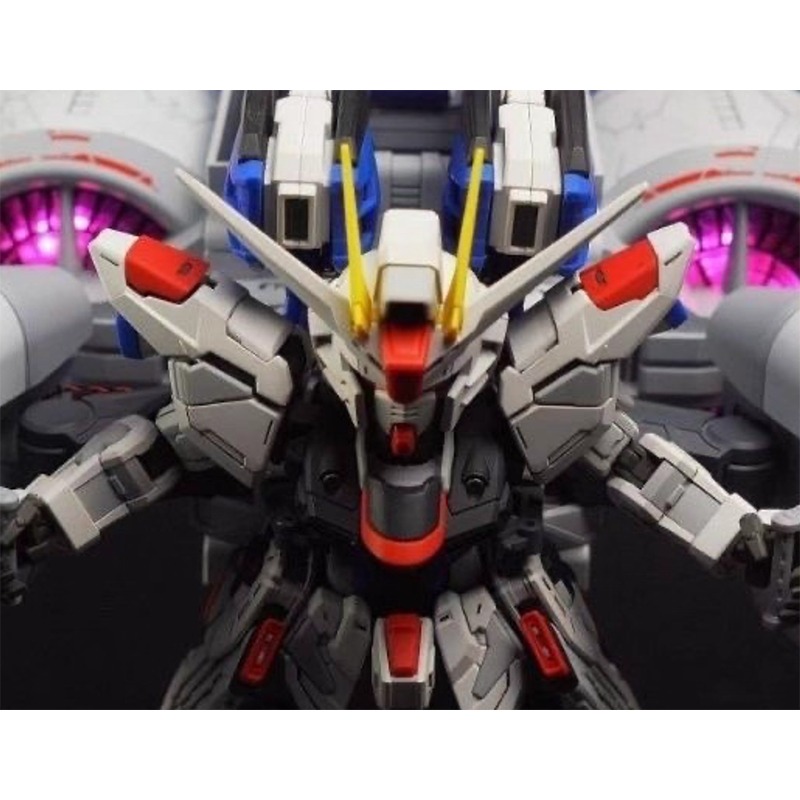 【鋼普拉】國模 摸魚動力 含燈組 流星號 MGSD HG RG 1/144 SEED 自由鋼彈 飛行背包 流星裝備-細節圖2