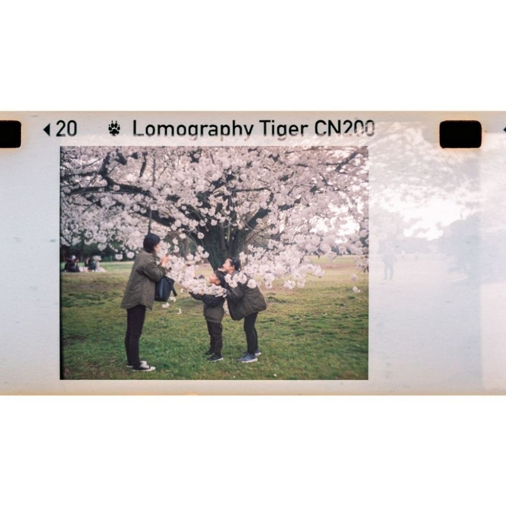 【eYe攝影】現貨 Lomography Lomomatic 110 底片相機 連閃光燈 玻璃鏡頭 傻光相機 復古相機-細節圖5